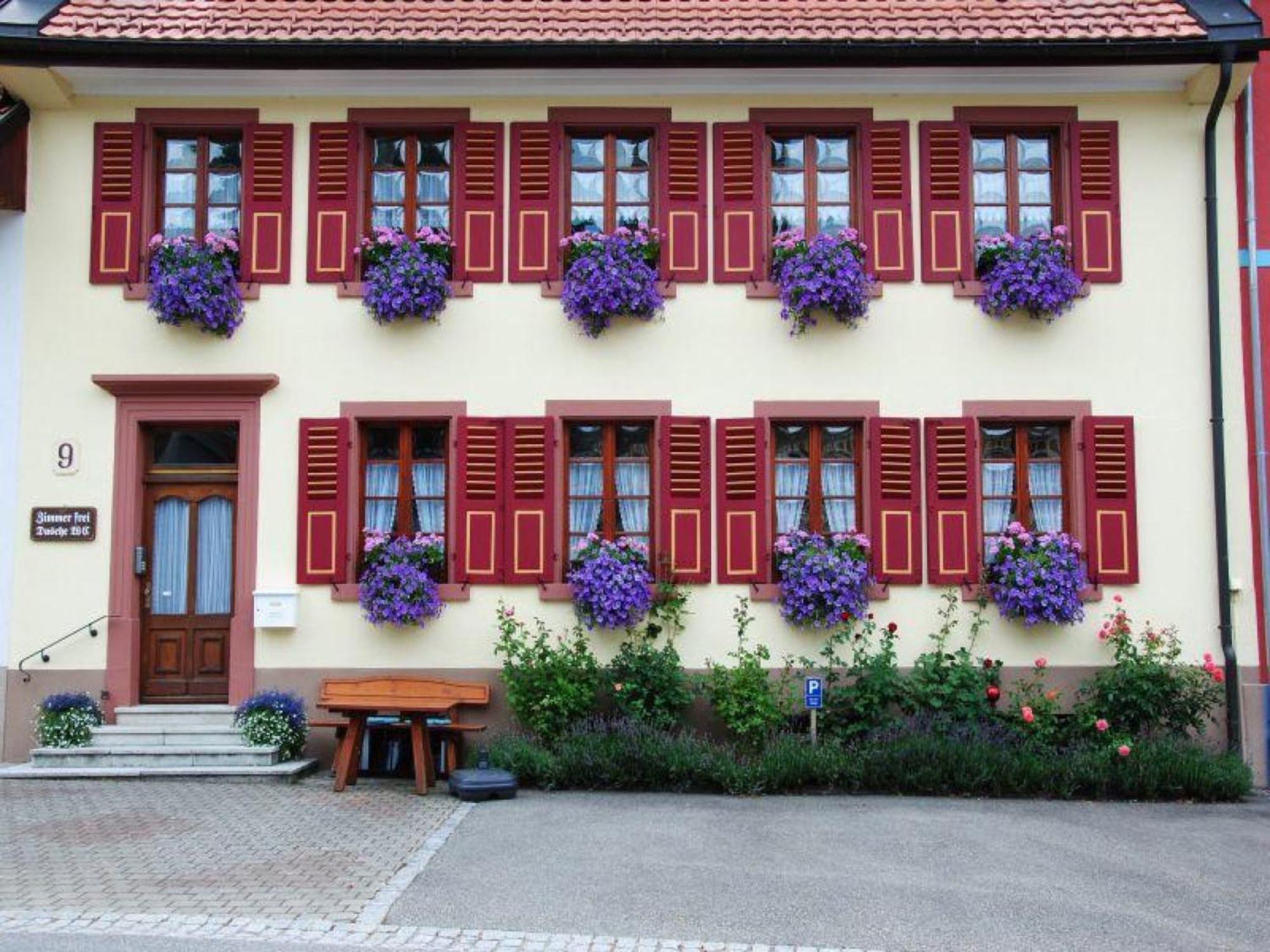 Hotel Haus Am Buehl à Schönau im Schwarzwald Extérieur photo